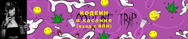PSILOCYBIN Кодинск