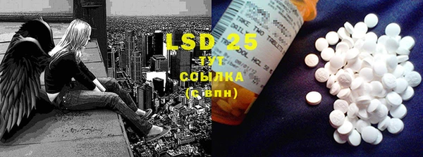 PSILOCYBIN Кодинск