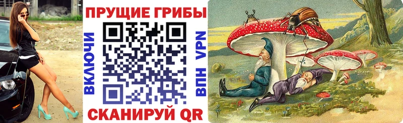 магазин продажи   Козьмодемьянск  hydra маркетплейс  Псилоцибиновые грибы Psilocybine cubensis 